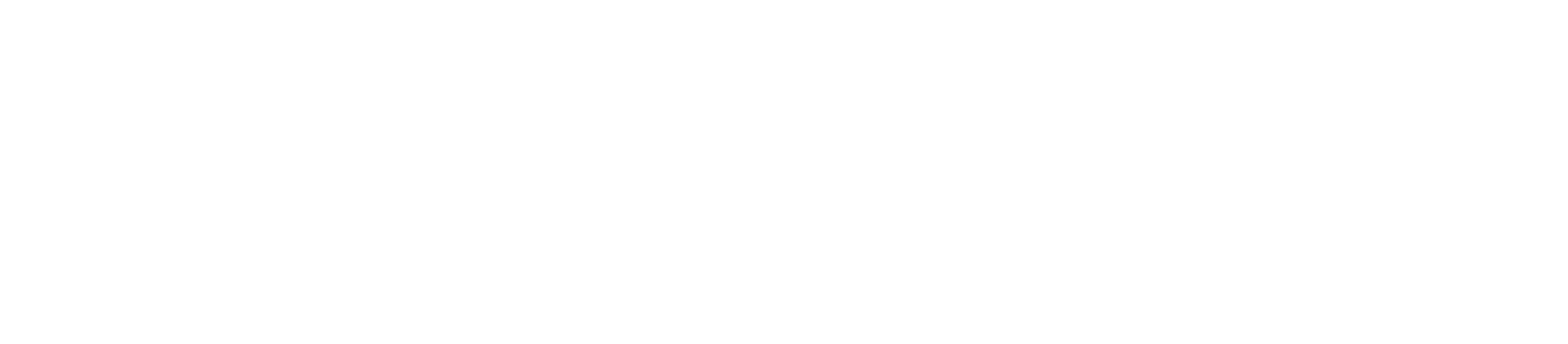 Fitlytics Logo